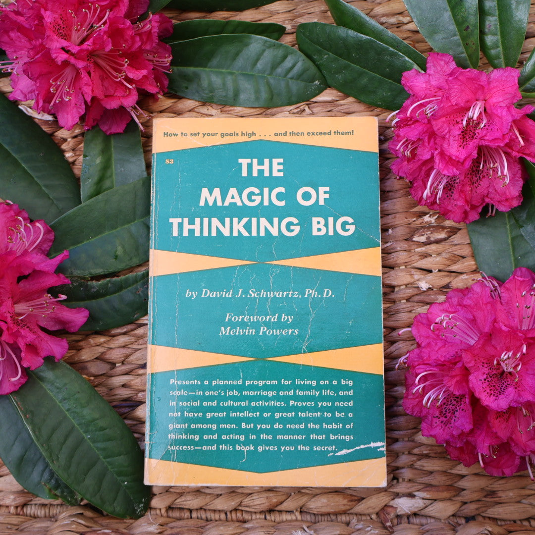 The Magic of Thinking Big - David J. Schwartz
