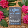 A Blueprint for a Safer Planet - Nicholas Stern