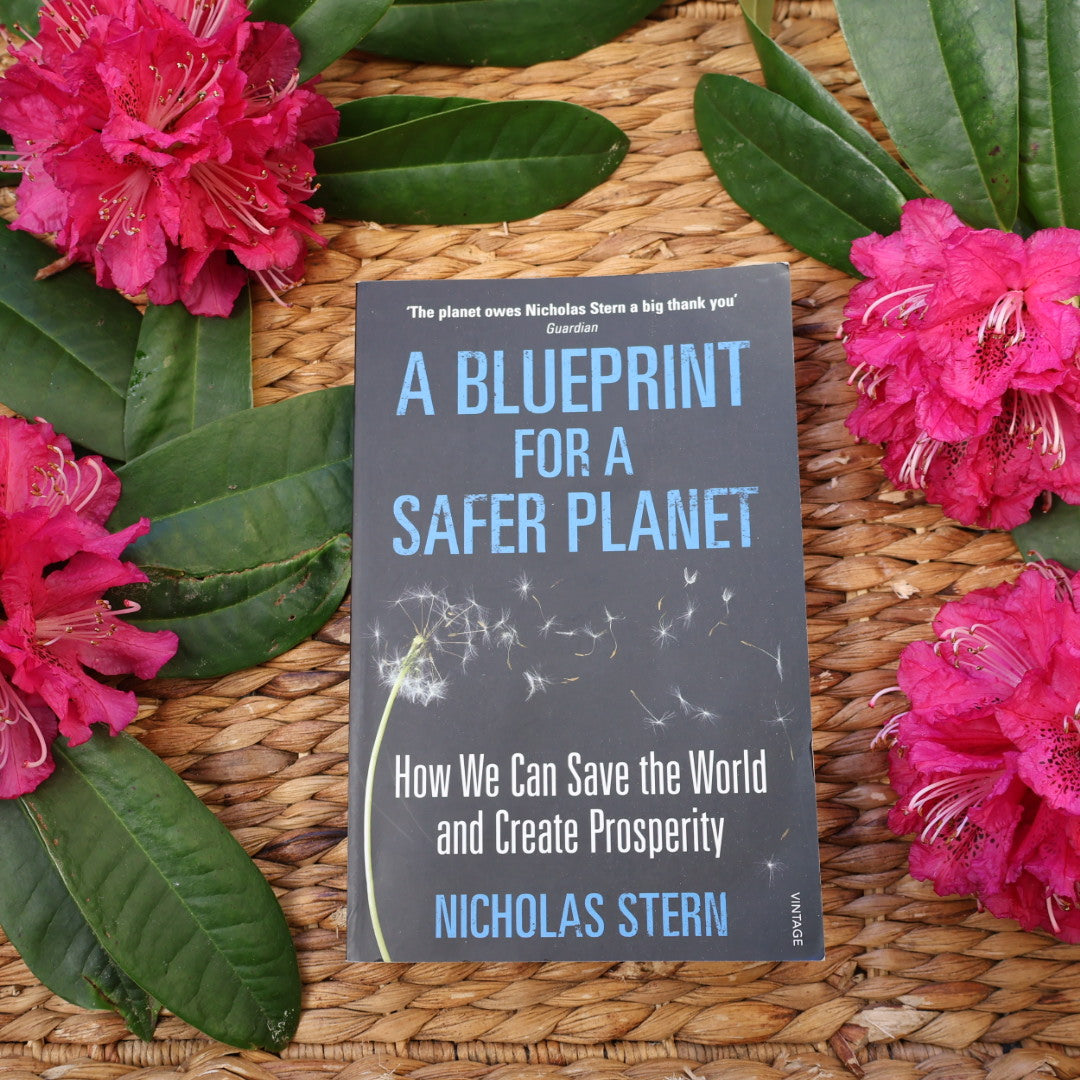 A Blueprint for a Safer Planet - Nicholas Stern