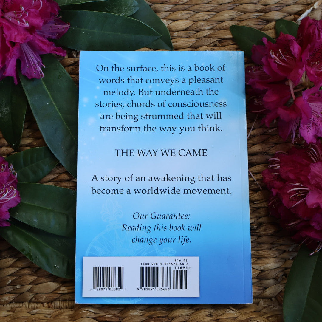 The Avatar Path: The Way We Came - Harry Palmer