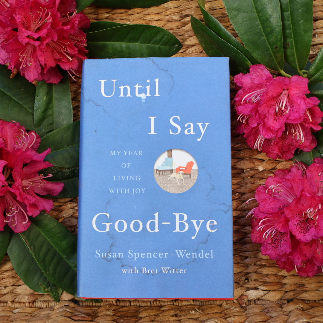 Until I Say Good-Bye - Susan Spencer-Wendel