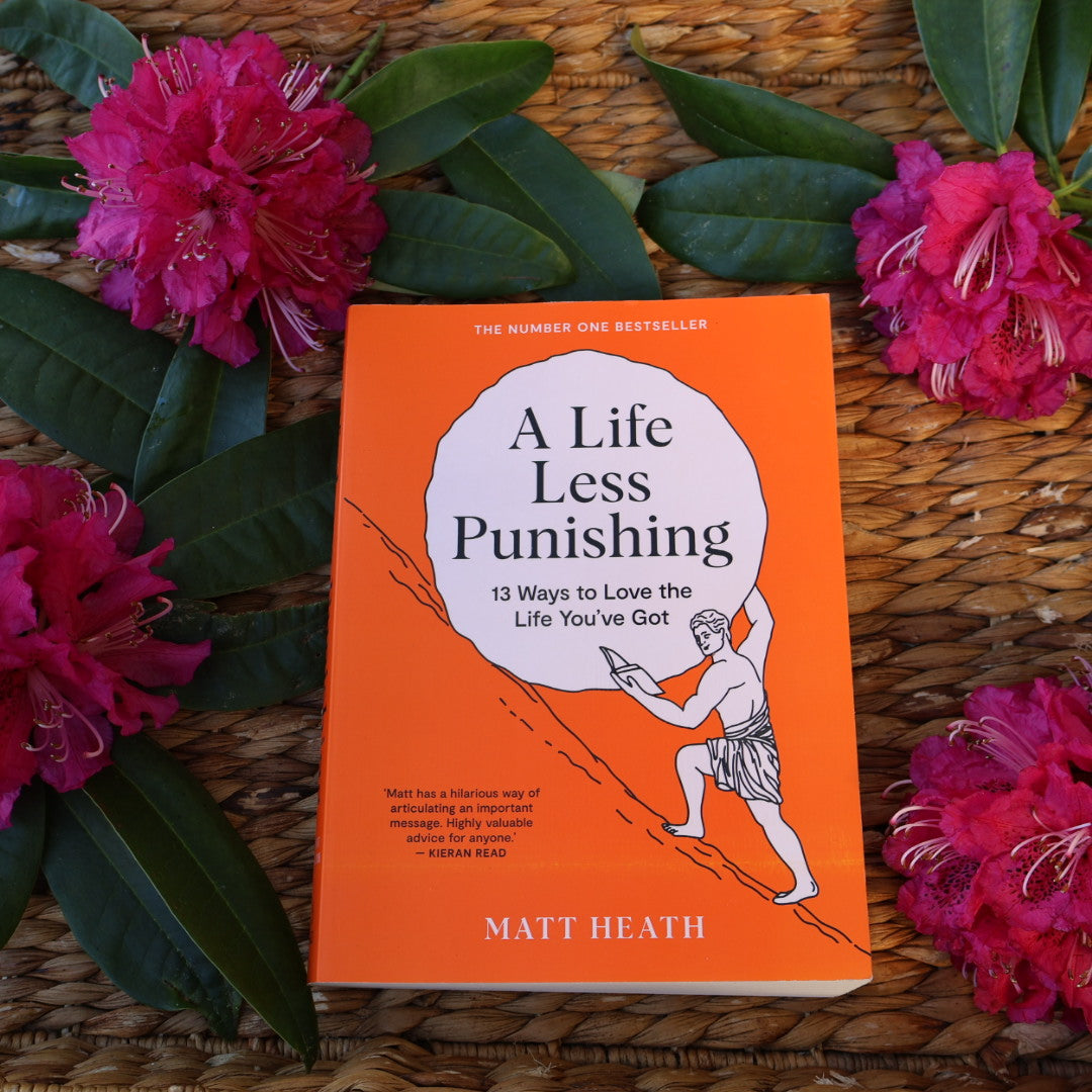 A Life Less Punishing - Matt Heath