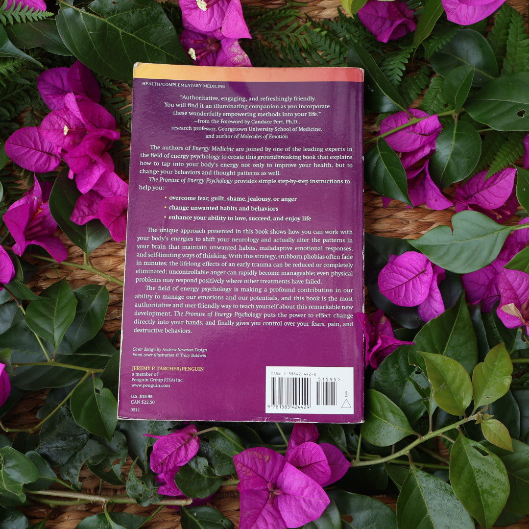 The Promise of Energy Psychology - David Feinstein, Donna Eden & Gary Craig