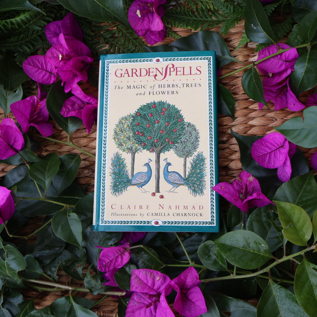 Garden Spells - Claire Nahmad