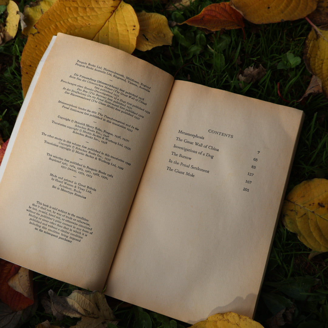 Metamorphosis and Other Stories - Franz Kafka