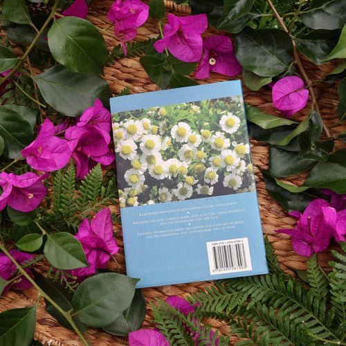 A Concise Guide to Herbs - Jenny Linford
